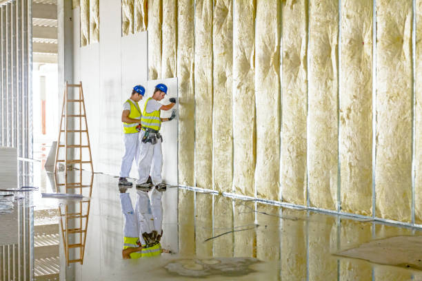 Types of Insulation We Offer in Frankston, TX
